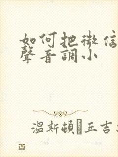 如何把微信消息声音调小