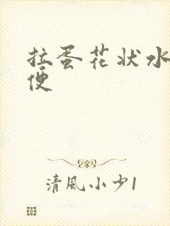 拉蛋花状水样便便