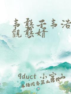 韦憨子韦浩 贞观憨婿