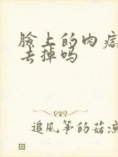 脸上的肉痣可以去掉吗