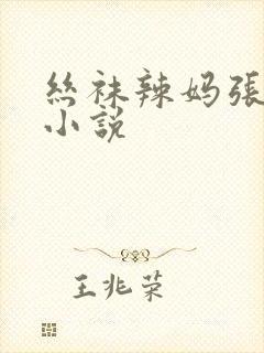 丝袜辣妈张静 小说