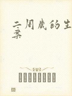 二周岁的生日文案