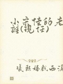 小宋佳的老公是谁(现任)