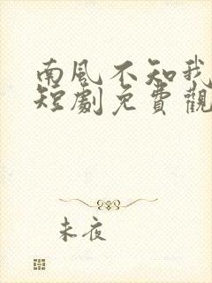 南风不知我情深短剧免费观看