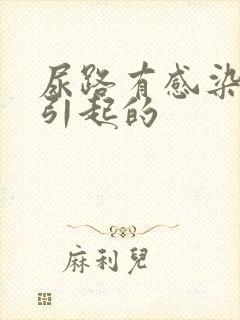 尿路有感染是怎引起的