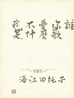 我不爱你谁爱你是什么歌