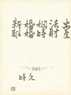 新婚姻法出轨方离婚时财产怎么判