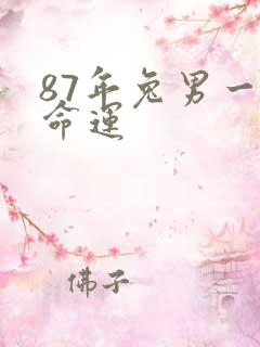 87年兔男一生命运
