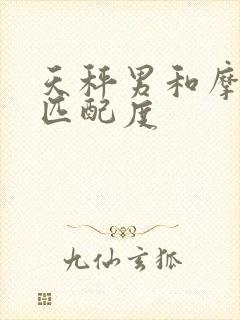 天秤男和摩羯女匹配度