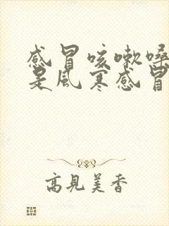 感冒咳嗽嗓子疼是风寒感冒还是风热感冒