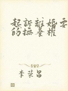 起诉离婚要孩子的抚养权