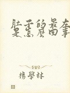 肚子的最左边疼是怎么回事