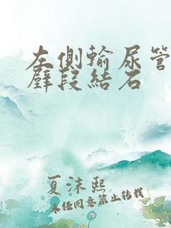 左侧输尿管膀胱壁段结石