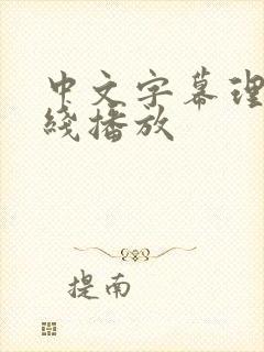 中文字幕理论在线播放