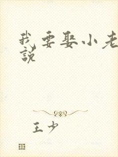我要娶小老婆小说