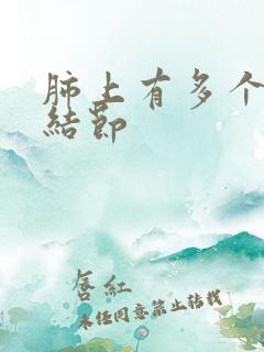 肺上有多个微小结节