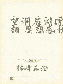 望洞庭湖赠张丞相 思想感情