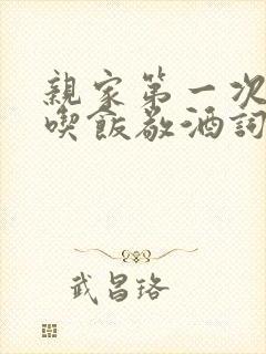 亲家第一次来家吃饭敬酒词