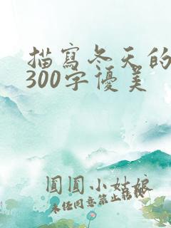 描写冬天的段落300字优美