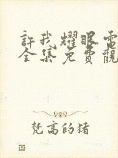 许我耀眼电视剧全集免费观看