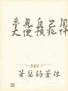 梦见自己用手抓大便预兆什么