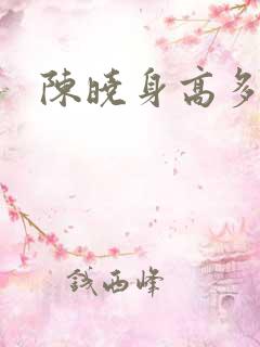 陈晓身高多高