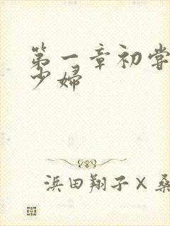 第一章初尝极品少妇