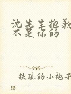 沈先生抱歉孩子不是你的