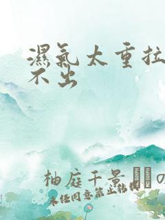 湿气太重拉屎拉不出