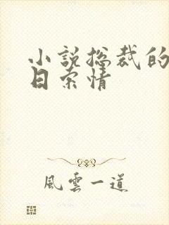 小说总裁的33日索情