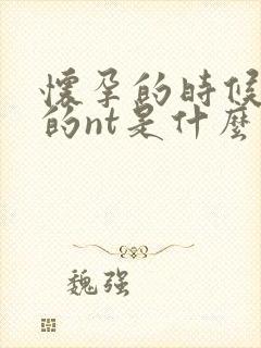 怀孕的时候检查的nt是什么