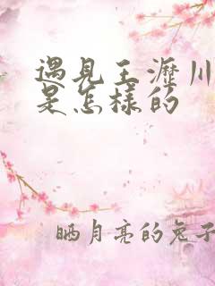 遇见王沥川结局是怎样的