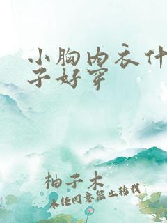 小胸内衣什么牌子好穿