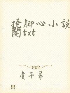 挠脚心小说笔趣阁txt