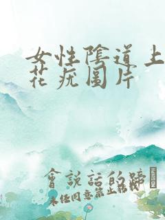 女性阴道上起菜花疣图片