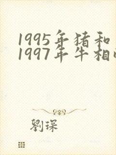 1995年猪和1997年牛相配婚姻如何