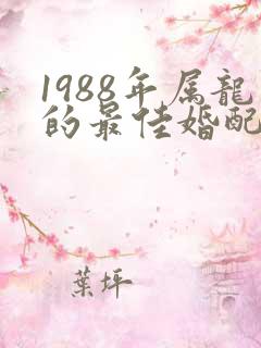 1988年属龙的最佳婚配表