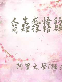 人生感悟的句子简短很精辟的那种