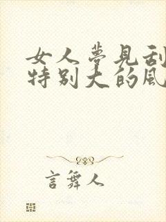 女人梦见刮大风特别大的风