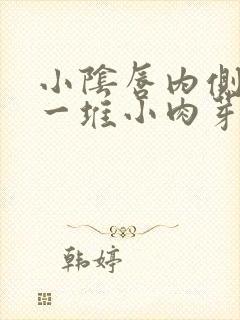 小阴唇内侧长了一堆小肉芽