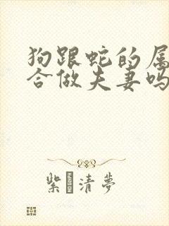 狗跟蛇的属相适合做夫妻吗