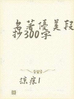 名著优美段落摘抄300字