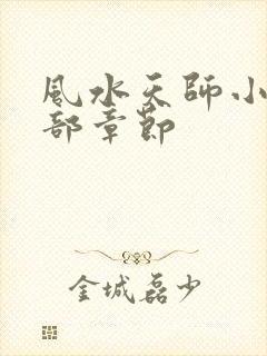 风水天师小说全部章节
