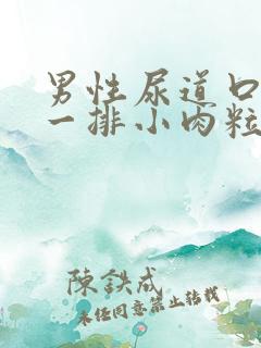 男性尿道口长了一排小肉粒