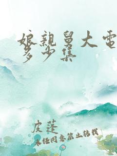 娘亲舅大电视剧多少集