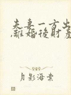 夫妻一方出轨了,离婚后财产怎么分割