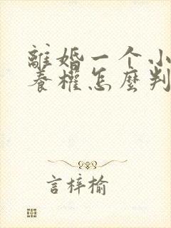 离婚一个小孩抚养权怎么判定