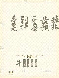 梦到牙齿掉光了是什么预兆