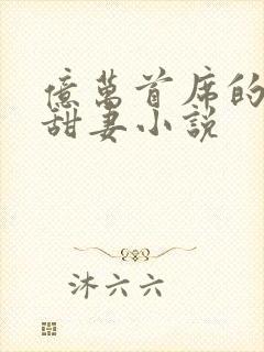 亿万首席的娇宠甜妻小说