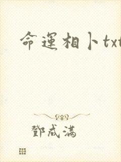 命运相卜txt